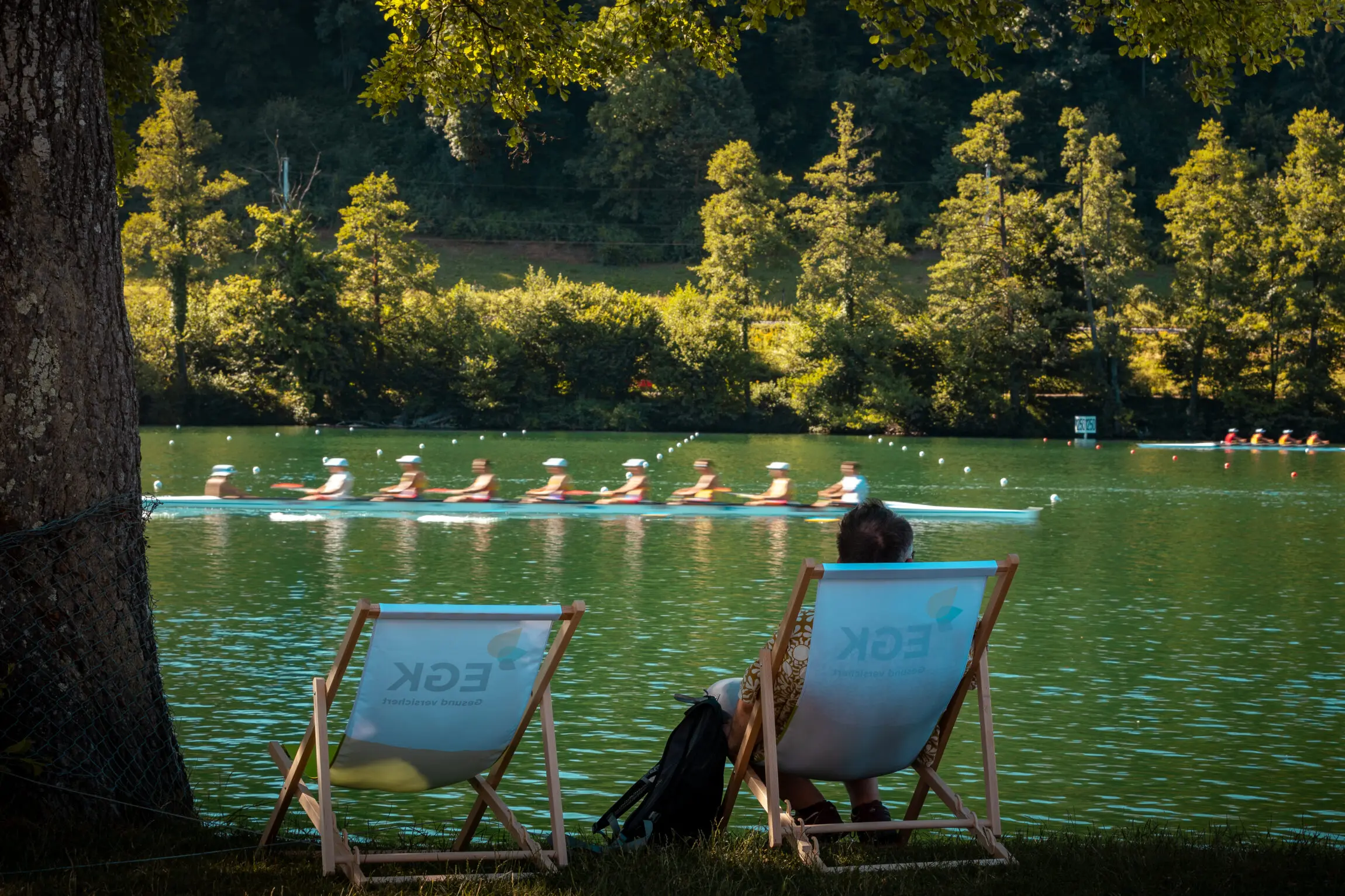 Nachhaltigkeit - Bild