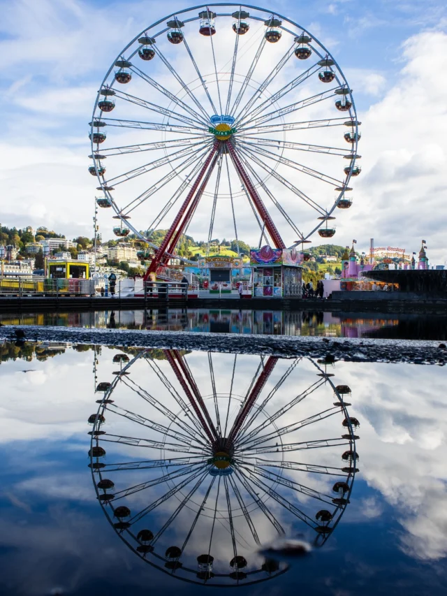 This is October in Lucerne. Soft light, golden leaves, autumn doing its thing 🌤️🍁📸: @tobil_photography & @maximiliangierl #lucerneregatta #swisscitymarathon #visitlucerne #lucerne